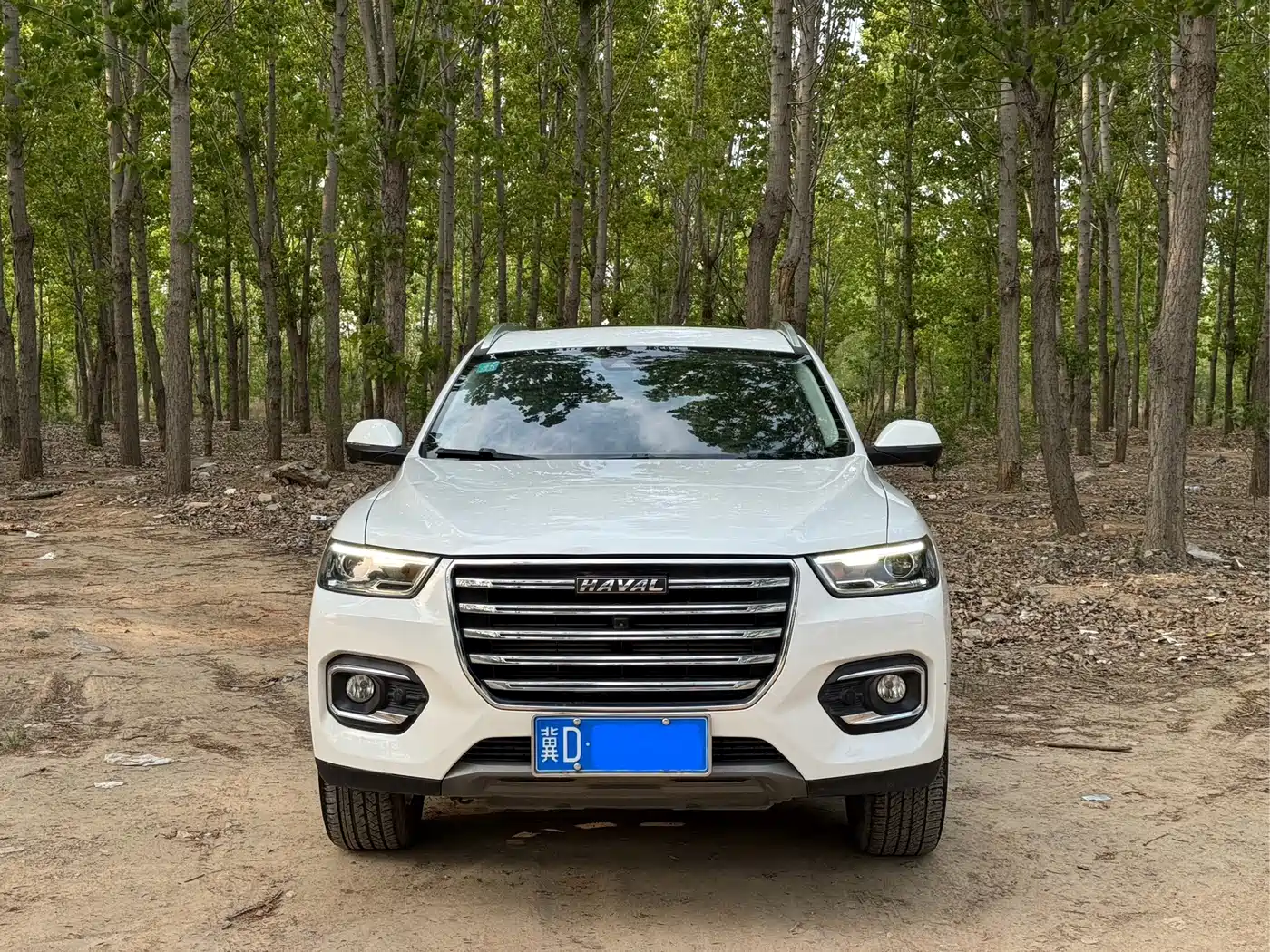 Haval H6 2020 1.5GDIT Automatic Platinum Luxury Edition фото 2
