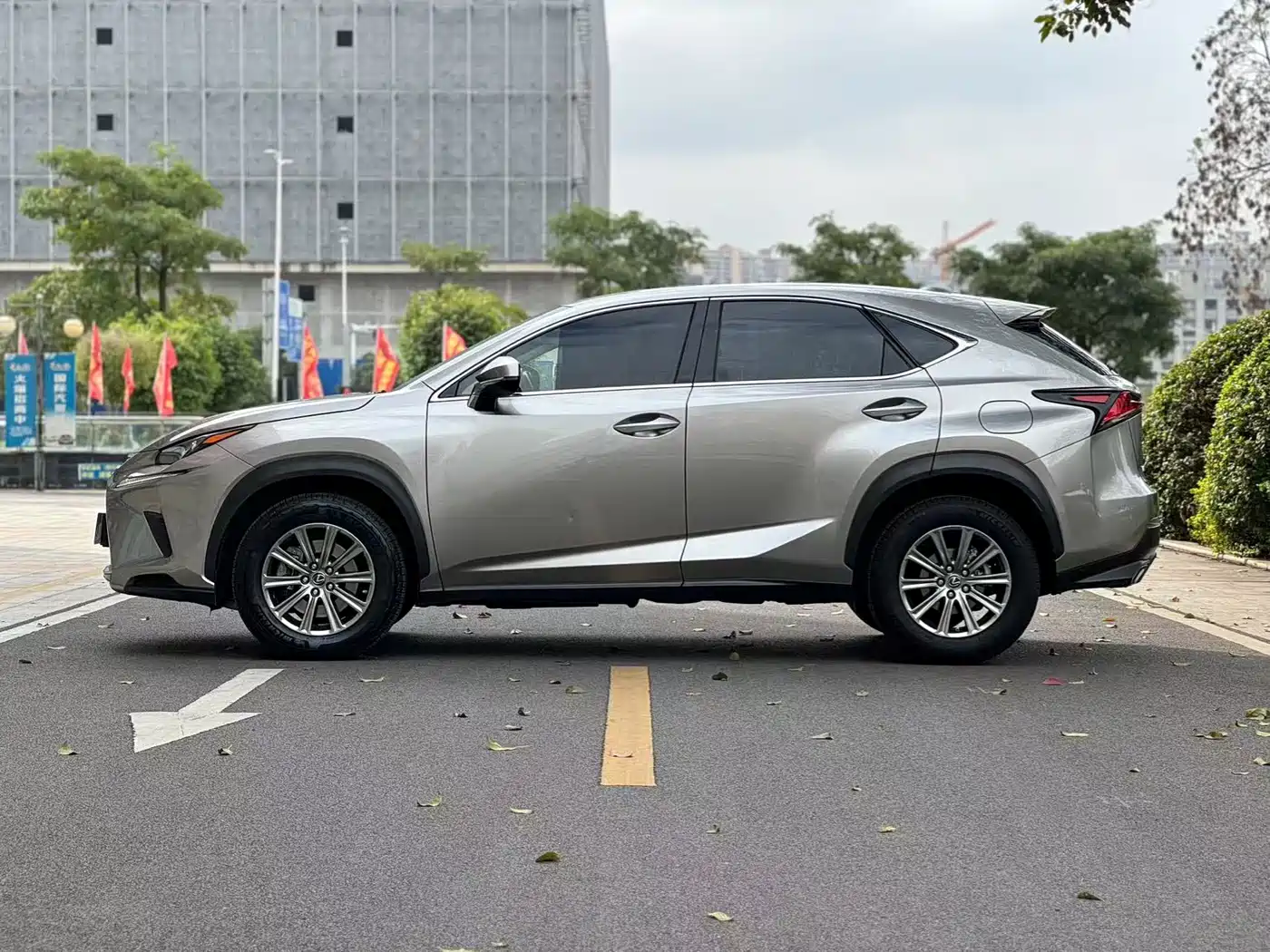 Lexus NX 2018 Model 300 FWD Fengxing Edition фото 4