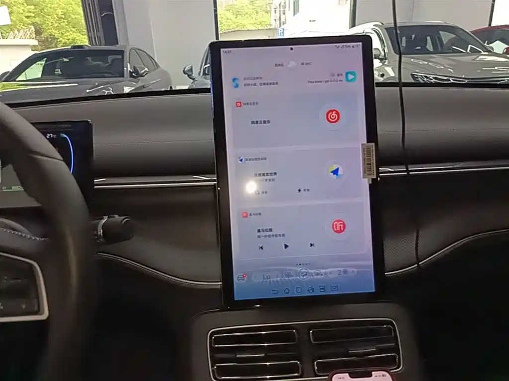 BYD Destroyer 05 2024 Glory Edition DM-i 55KM Luxury фото 13