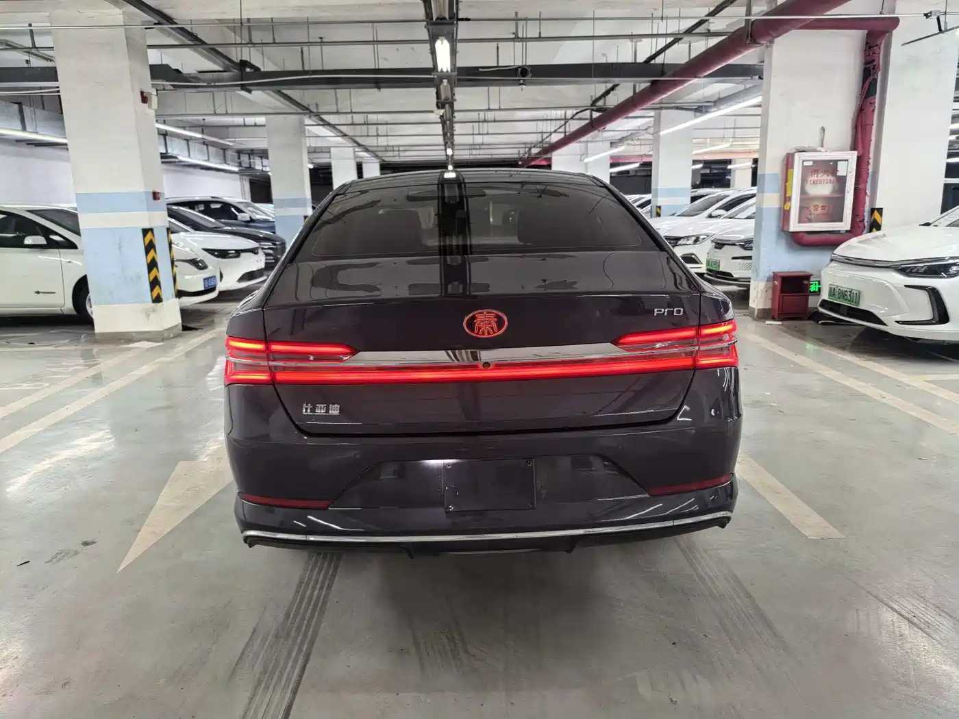 BYD Qin Pro New Energy 2019 EV Super Edition High Power Long Range Smart Connected Pioneer Type фото 13