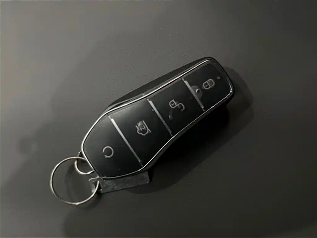 BYD Song Pro New Energy 2025 2nd Generation Smart Drive Edition DM-i 75KM Leading Type фото 19
