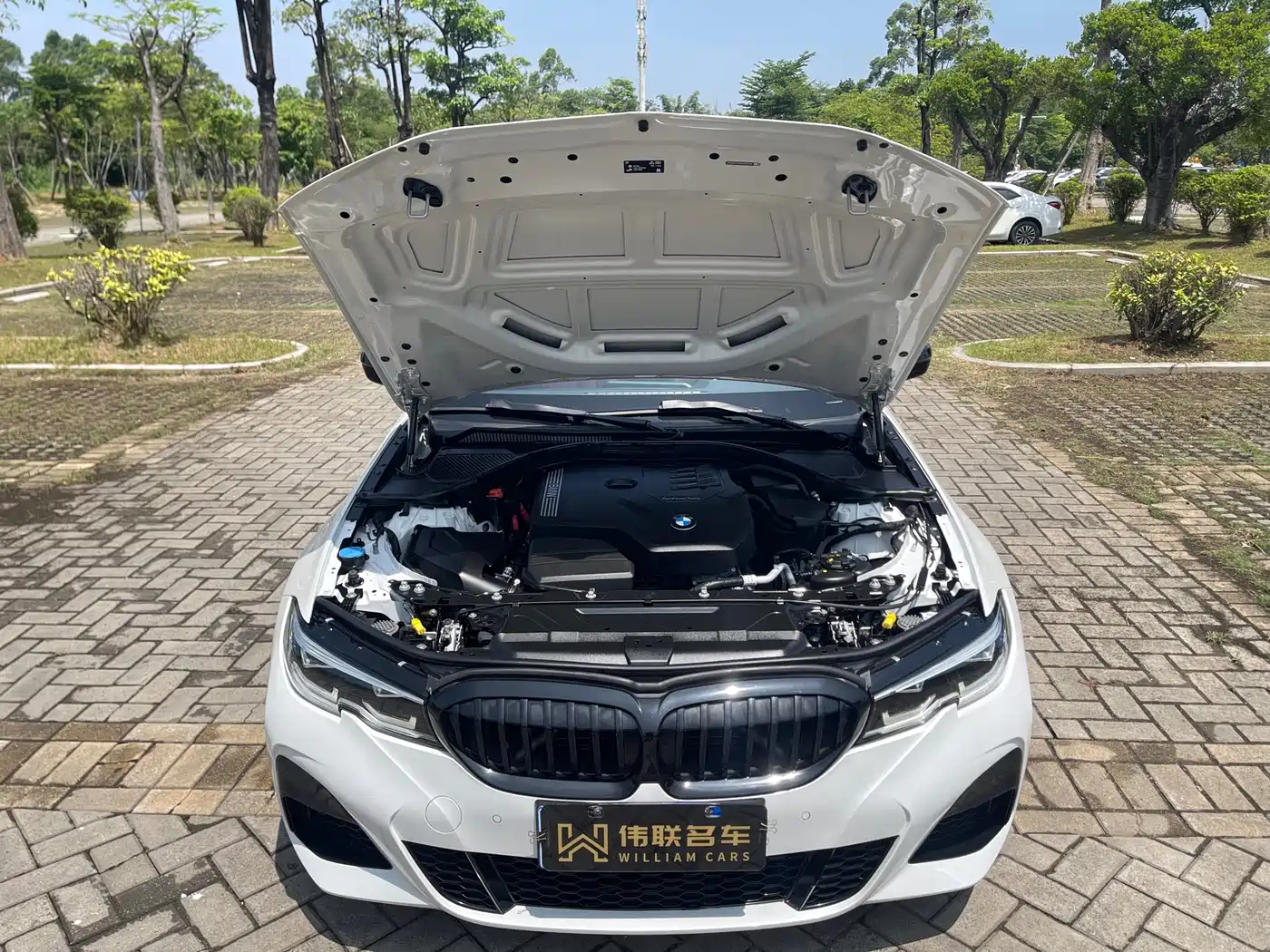 BMW 3 Series 2022 325Li M Sport Shadow Edition фото 21