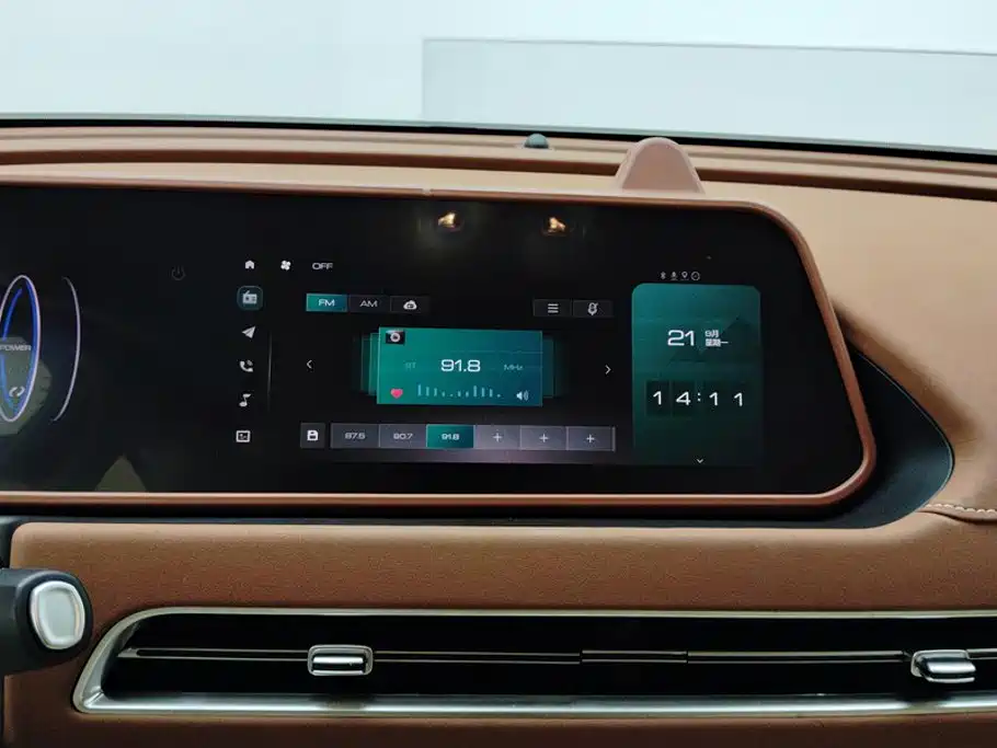 Ora Good Cat 2023 2023 401km Standard Range Luxury LFP