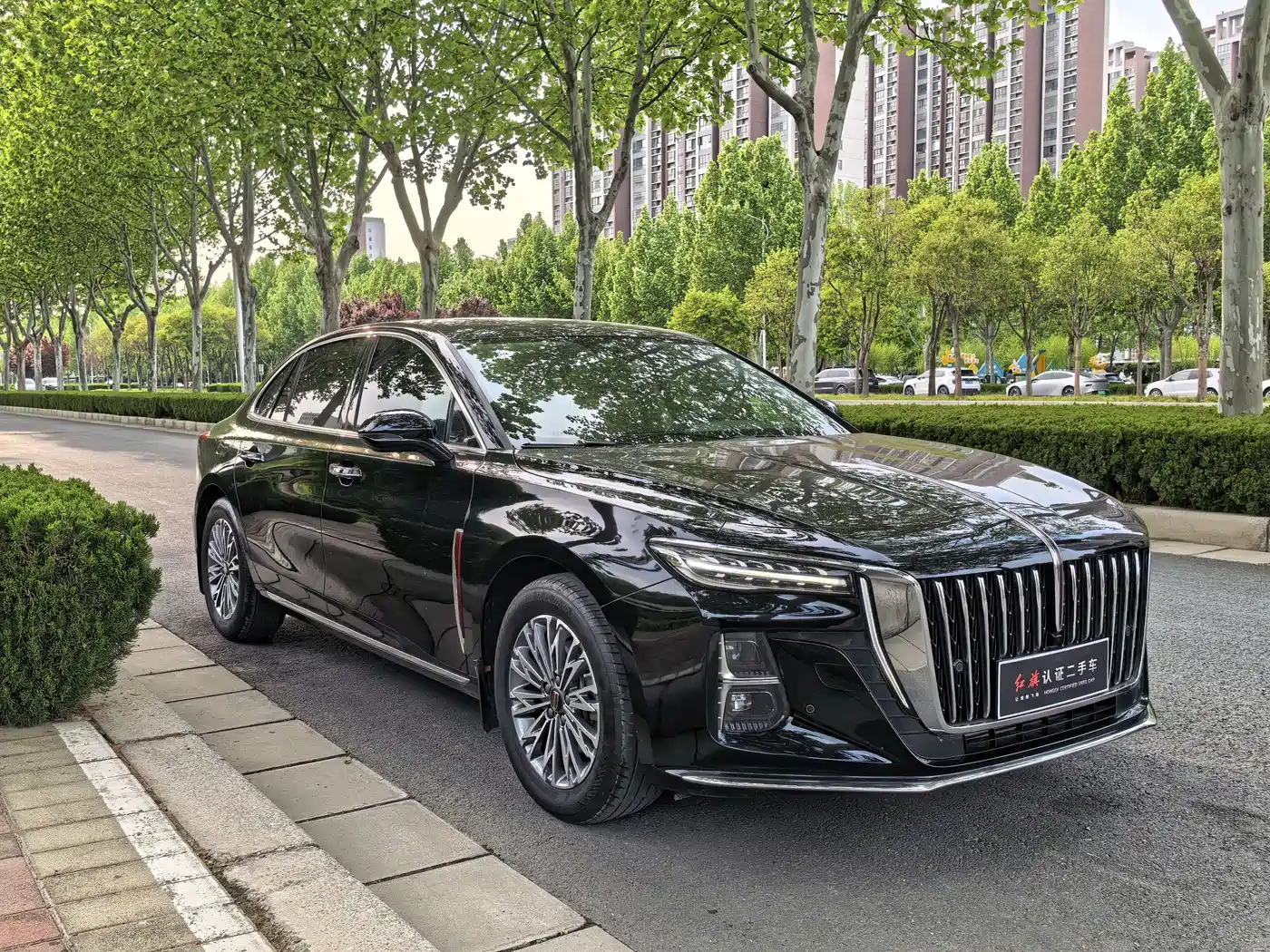 Hongqi H5 2023 2.0T Auto Smart Connect Flag Enjoy фото 3