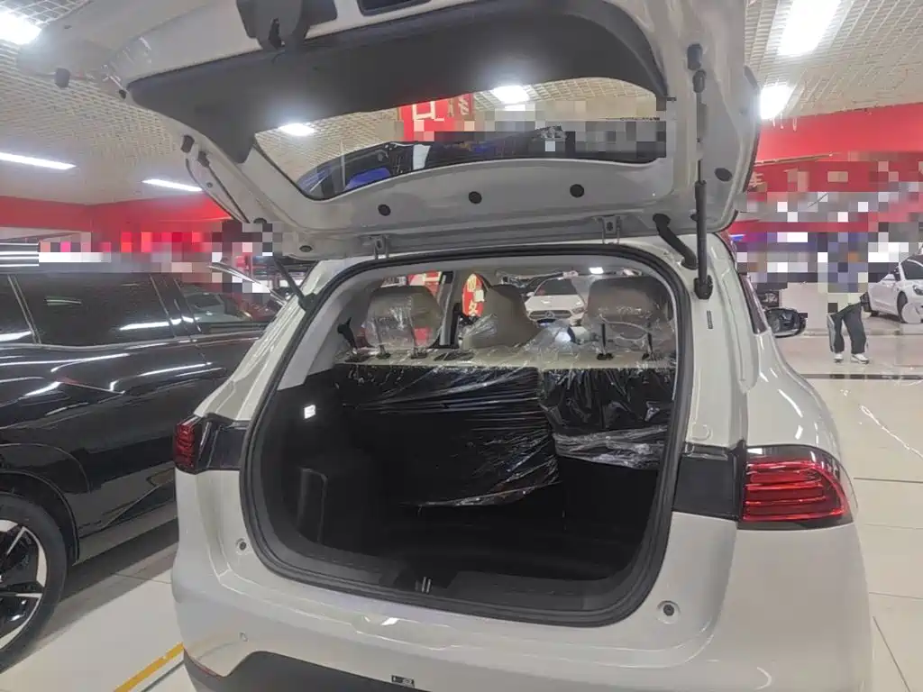 Wuling Motors Wuling Binguo PLUS 2026 2024 401km Range 5-seater