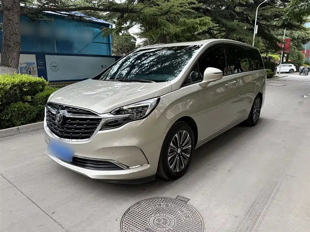 Buick GL8 2021 ES Landlord 653T Flagship фото 3
