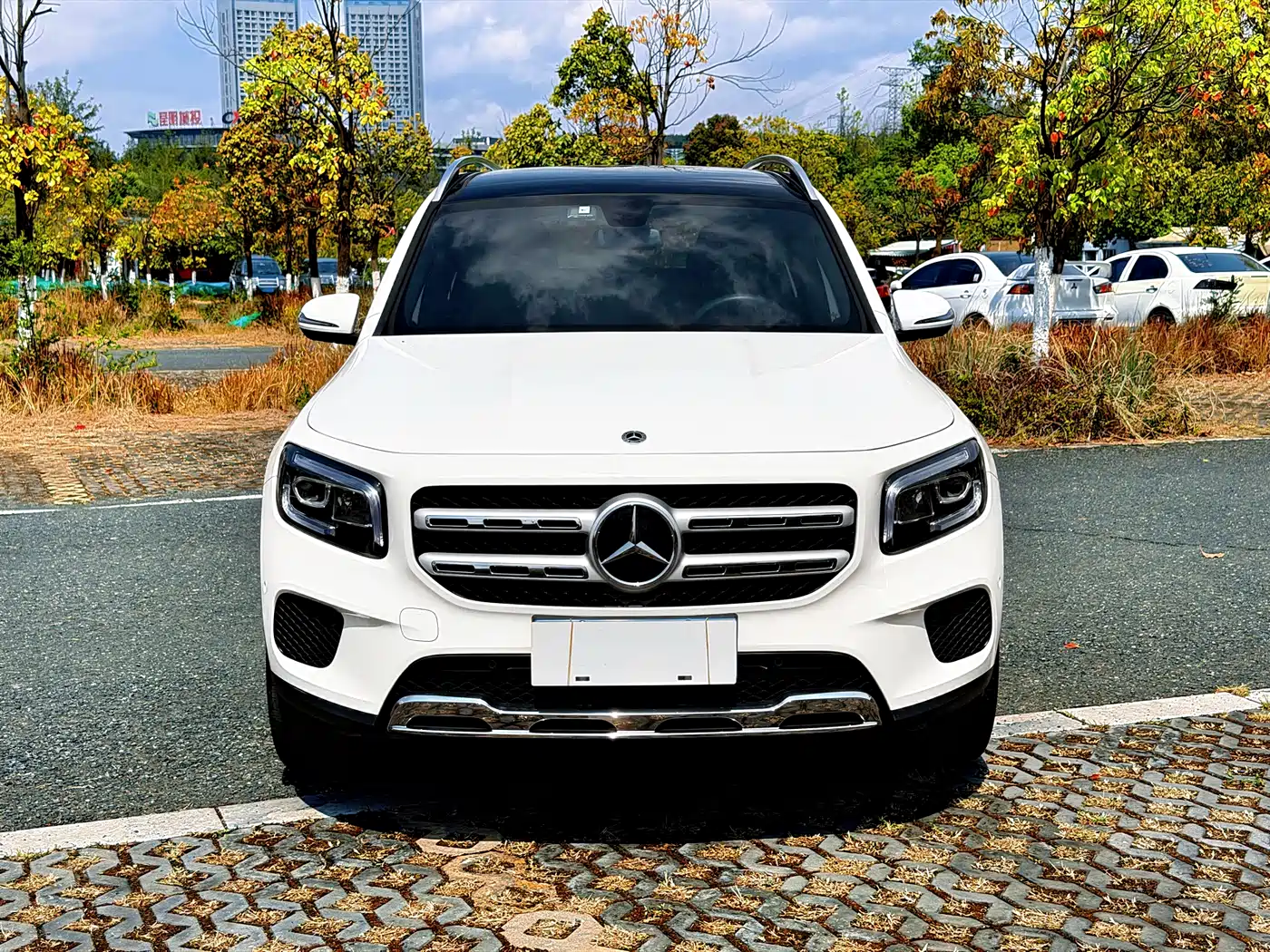 Mercedes-Benz GLB 2021 GLB 200 Dynamic фото 5