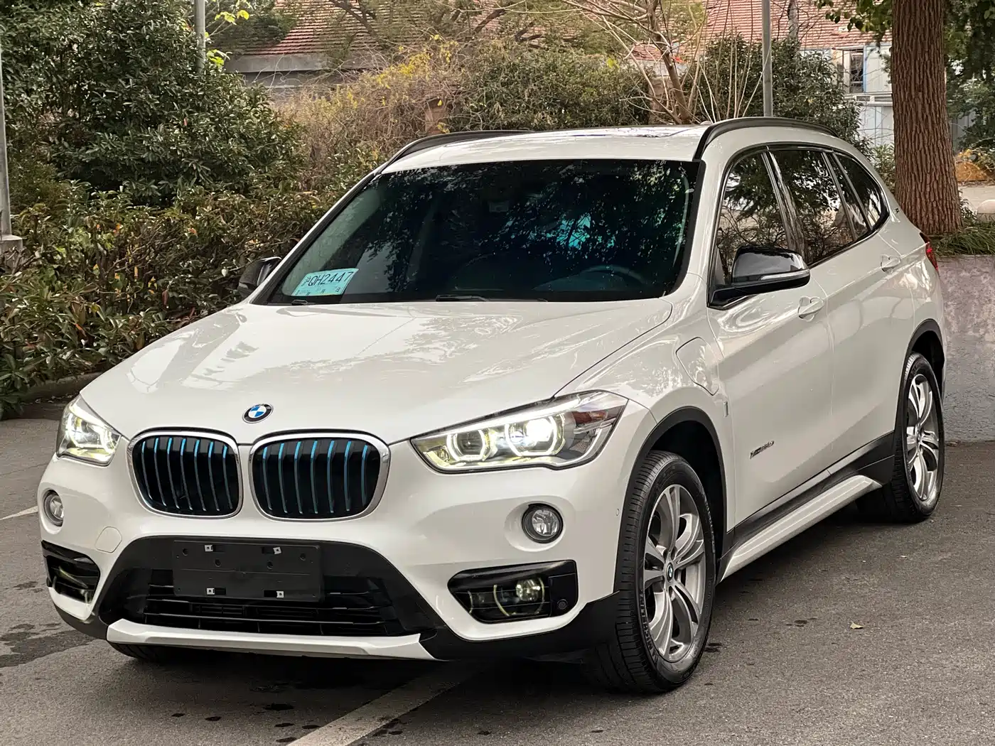 BMW X1 NEW ENERGY