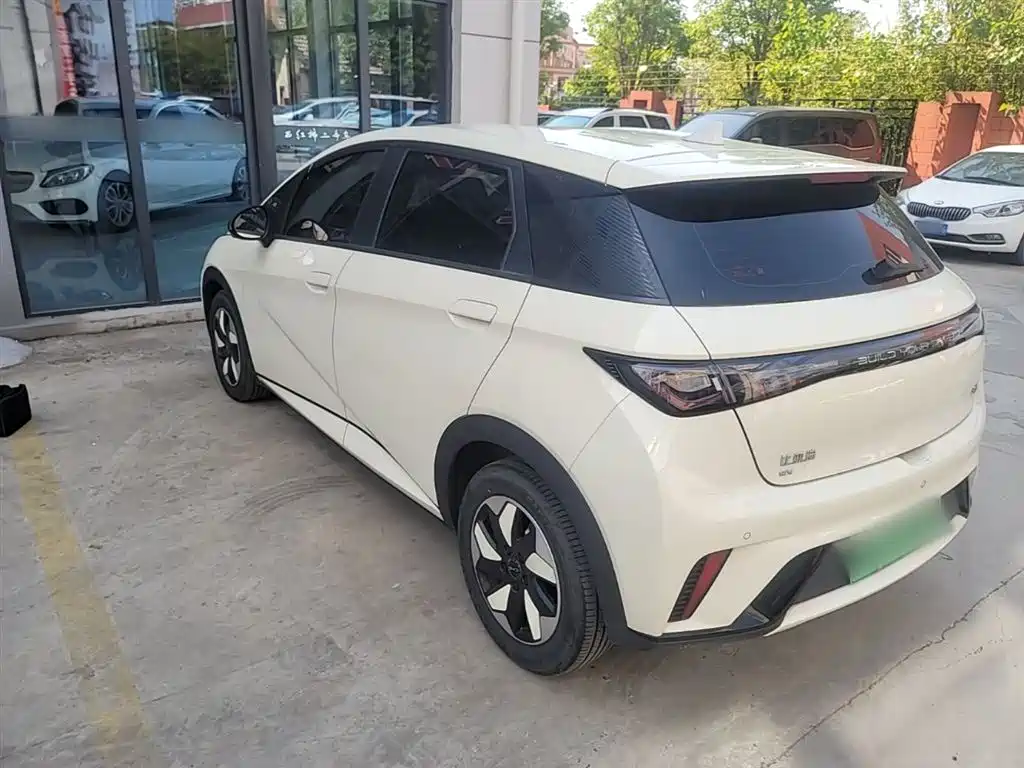 BYD Dolphin 2024 Glory Edition 420km Freedom Edition фото 23
