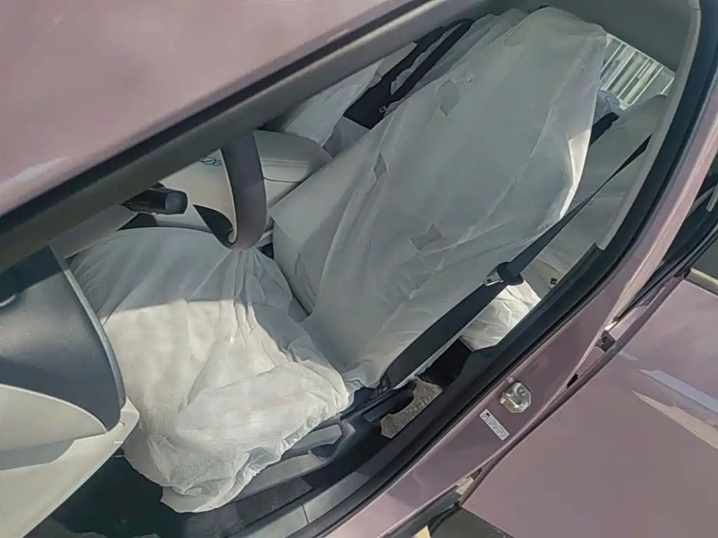 Geely Galaxy Starry Wish 2026 Edition 310km Youth Version фото 15
