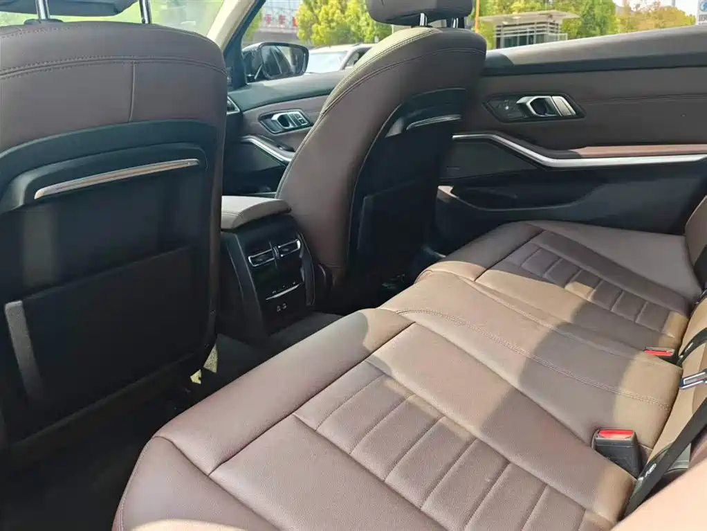 BMW 3 Series 2020 325Li M Sport Black Night Package фото 14