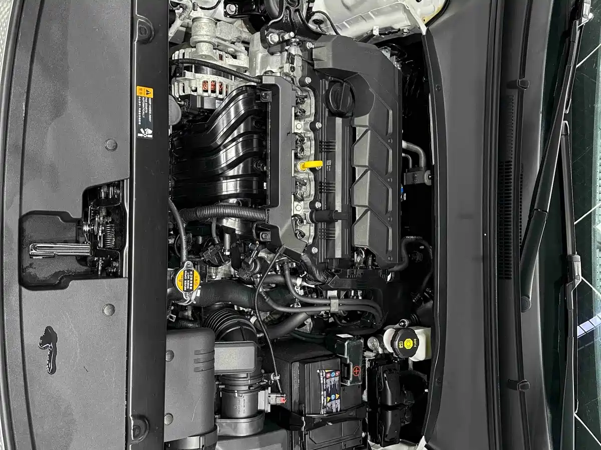 Kia Seltos 2024 2023 1.5L CVT Luxury Edition
