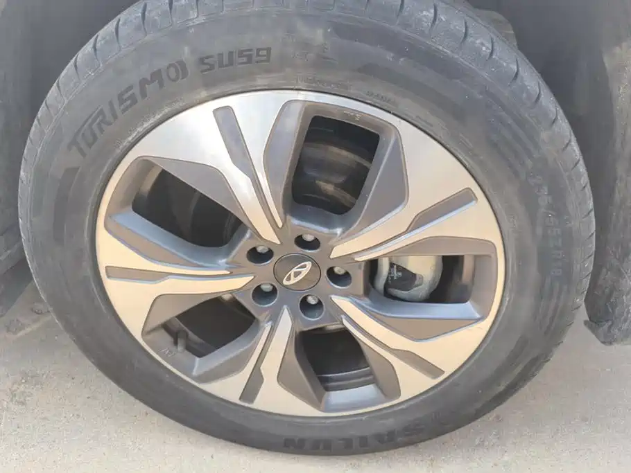 Chery Tiggo 8 PRO EV 2024 2023 Champion Edition 1.5T 100km King Edition