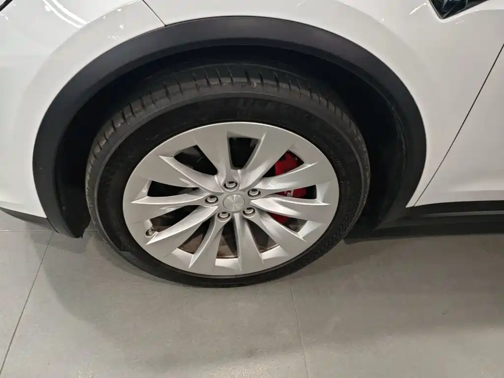 Фото 23 - Tesla Model X