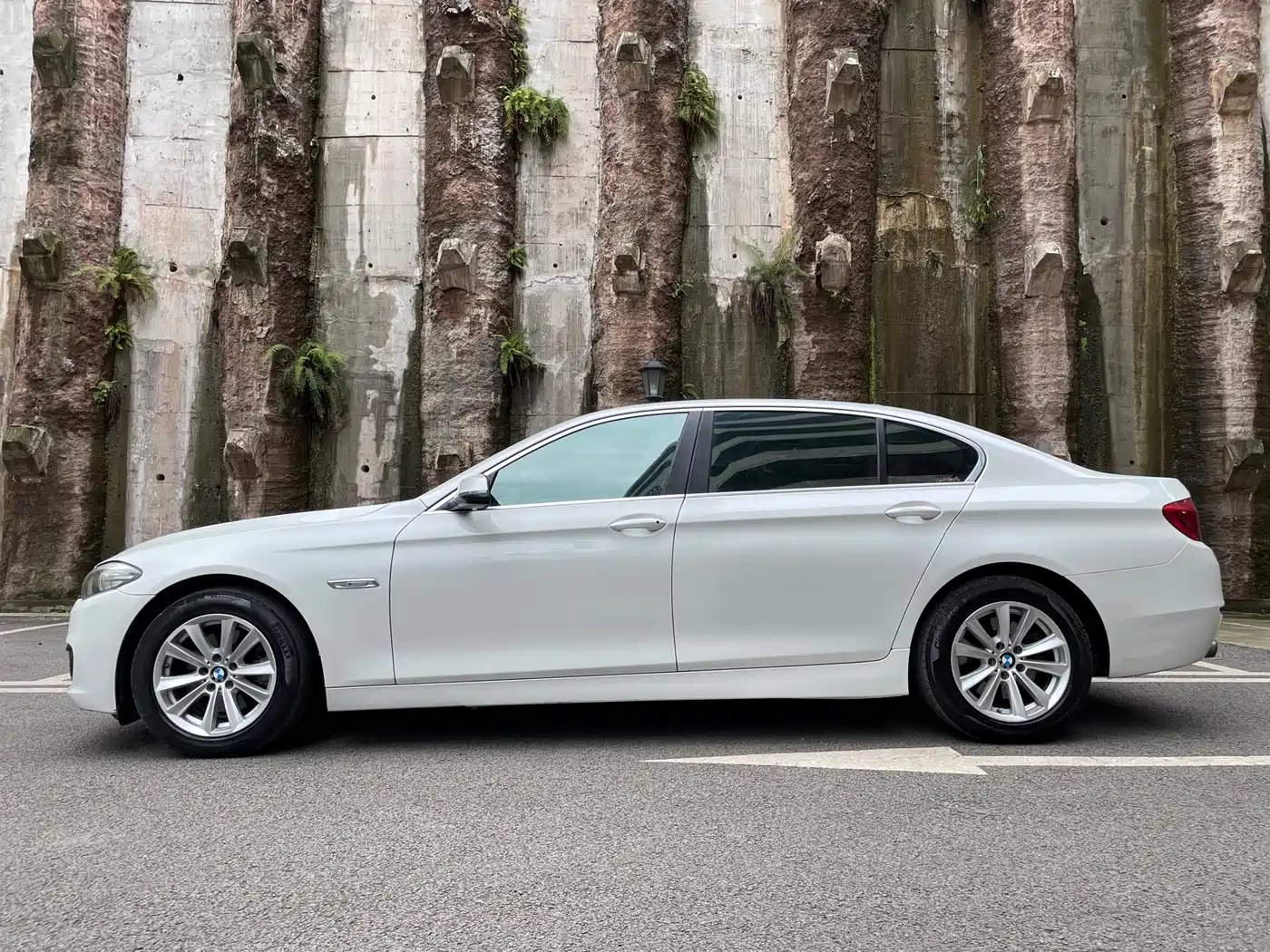 BMW 5 Series 2014 520Li Elegance фото 4