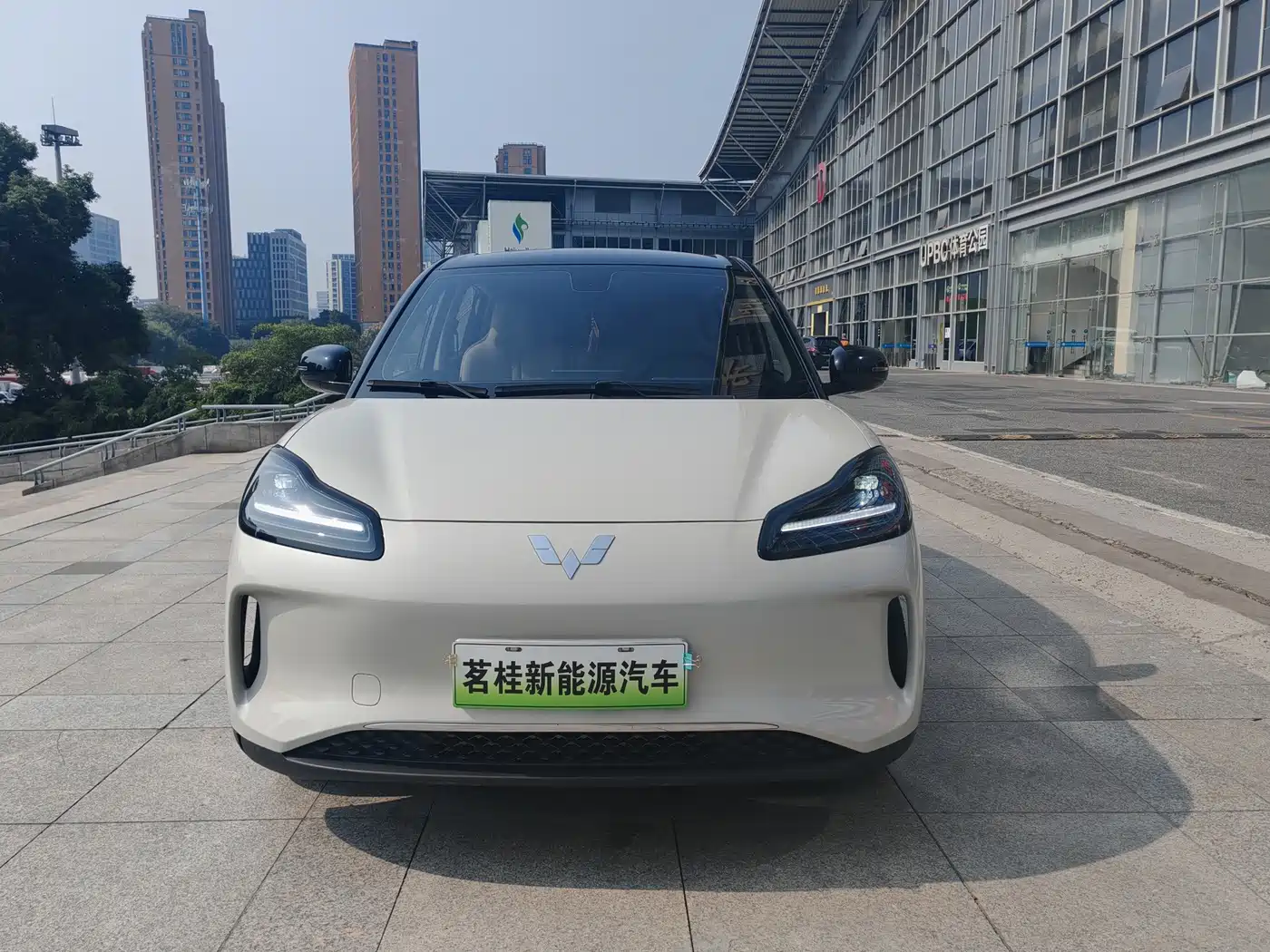 Wuling Motors Wuling Binguo PLUS 2025 2024 Model 330km 5-Seater