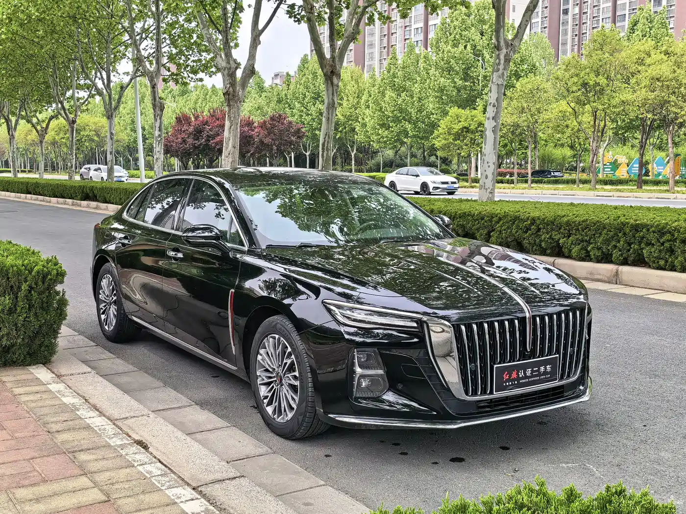 Hongqi H5 2024 1.5T DCT Smart Connect Flag Rhythm Edition фото 3