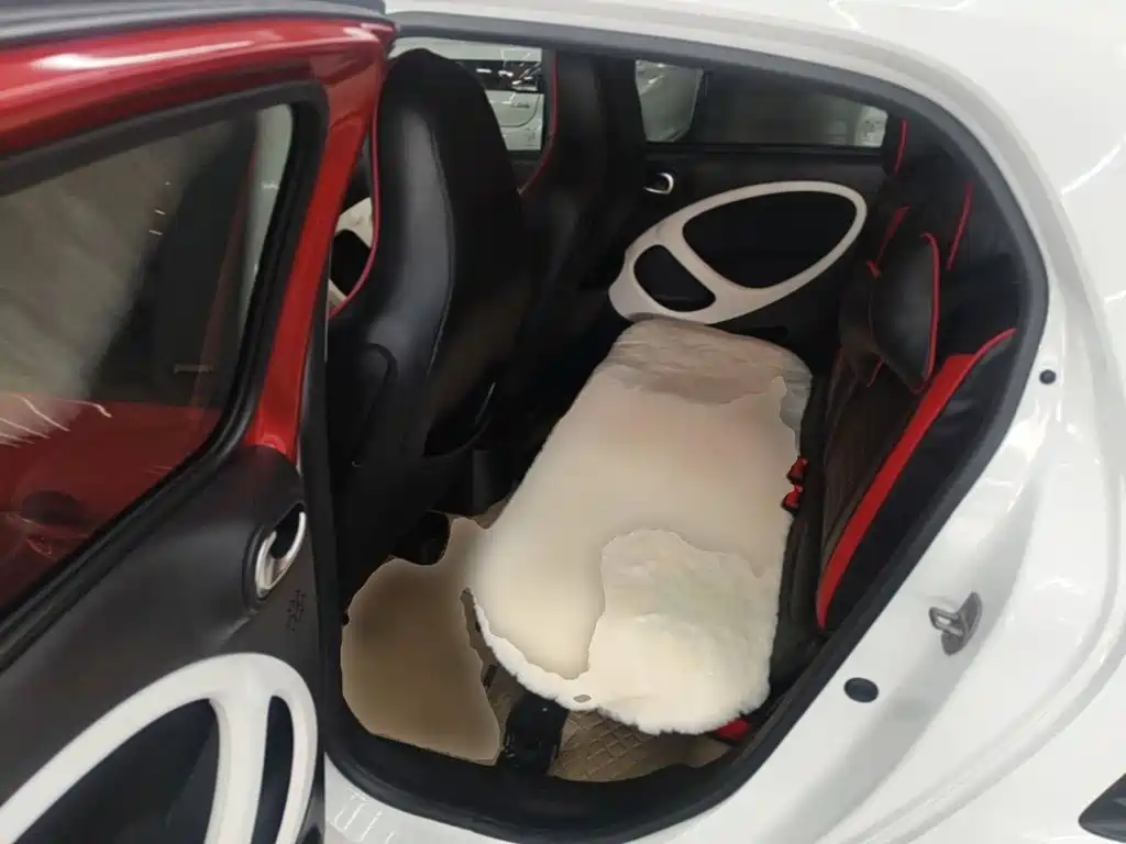 Фото 17 - smart forfour