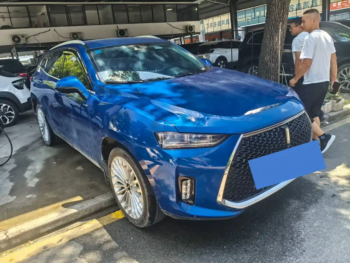 WEY P8 2018 2018 2.0T Flagship Model