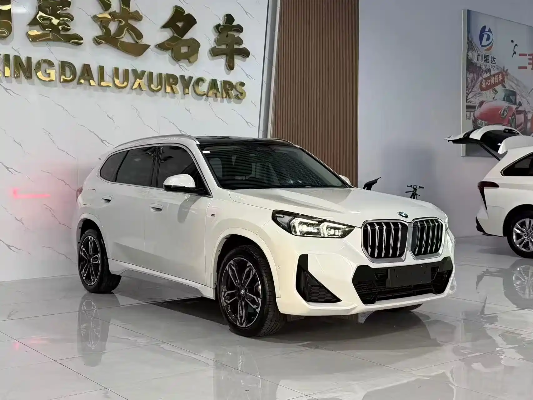 Фото 2 - BMW X1