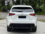 Фото 15 - Lexus NX
