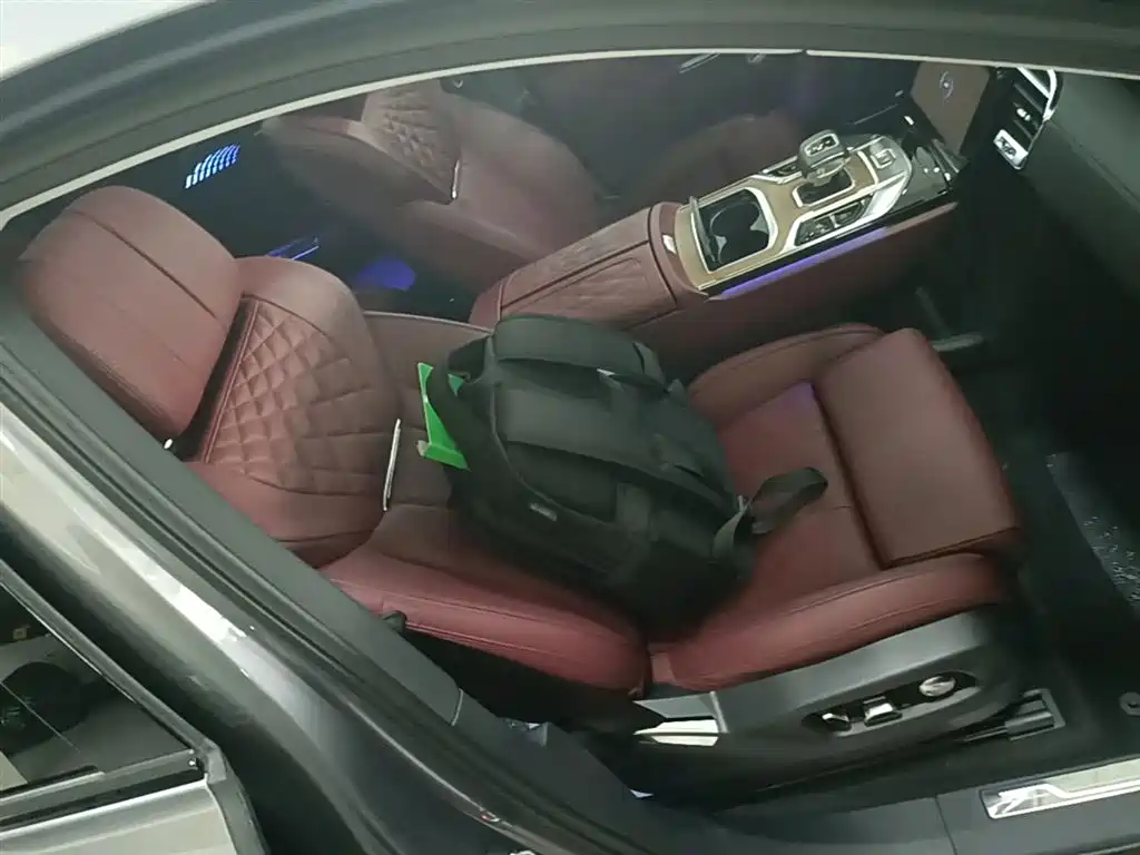 Hongqi E-HS9 2022 660km Qi Chang Edition (6-seater) фото 24