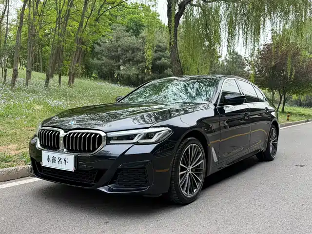 BMW 5 SERIES