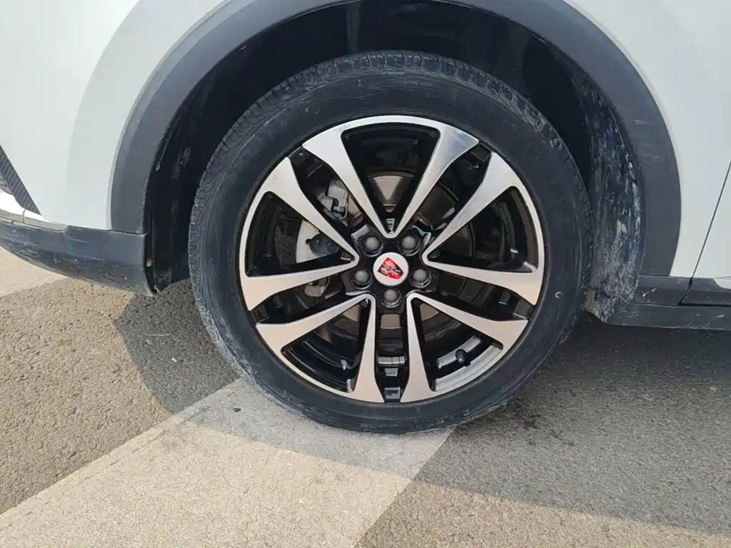 Фото 23 - Roewe RX3