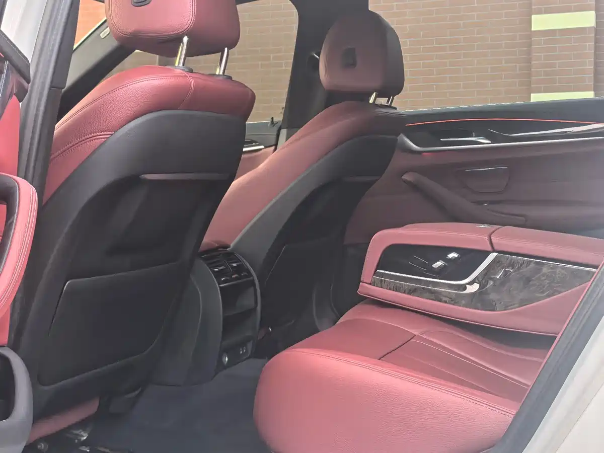 BMW 5 Series 2020 530Li Leading M Sport Package фото 5