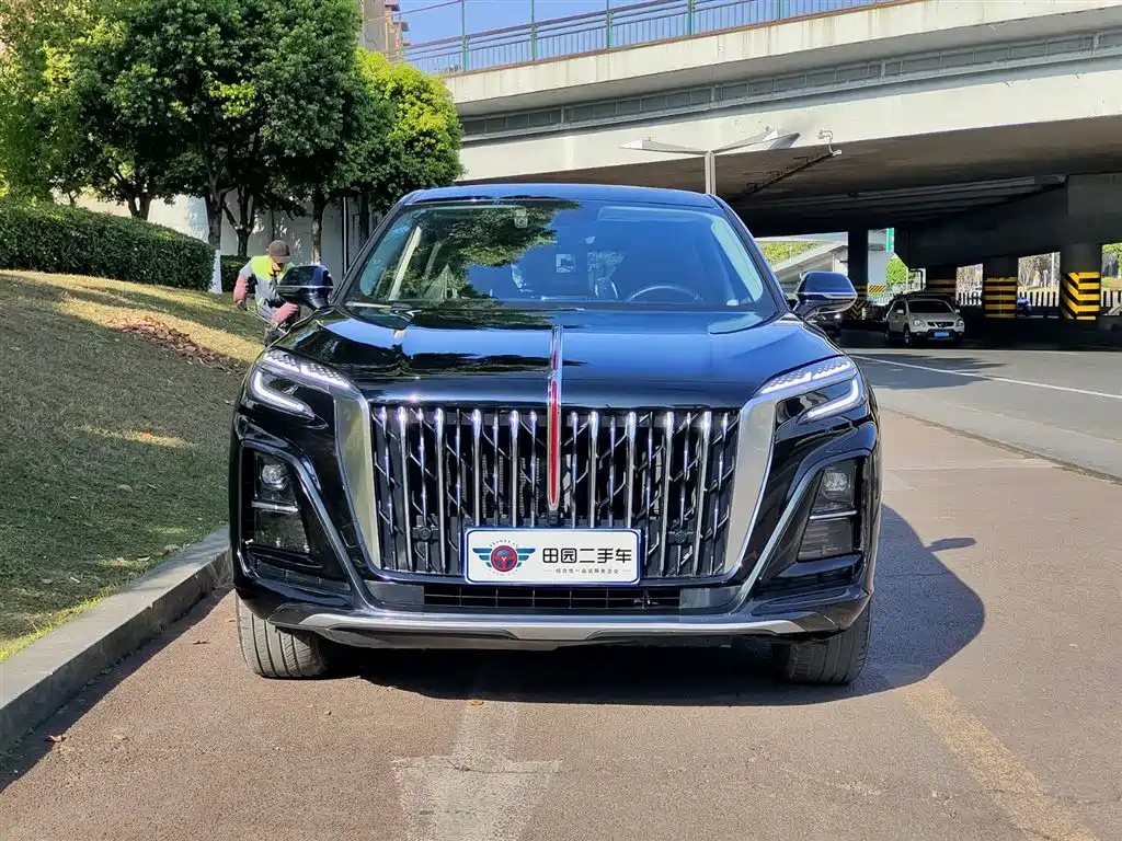 Hongqi HS3 2025 1.5T Aspiration Edition фото 2
