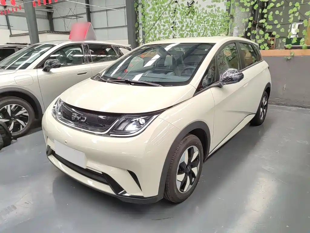 BYD Dolphin 2026 2025 420km Freedom Edition