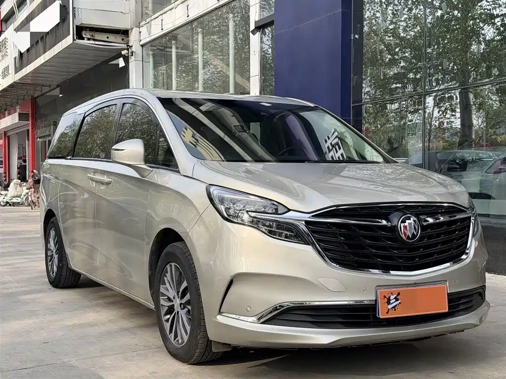 Buick GL8 2022 ES Landmark 653T Premium фото 3