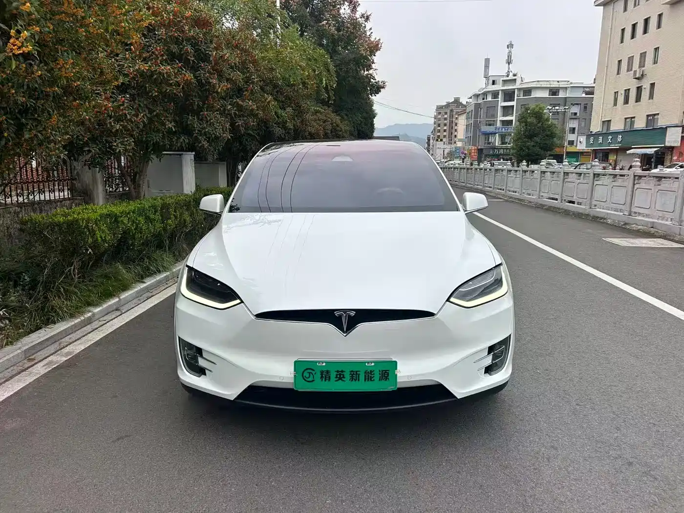 TESLA MODEL X