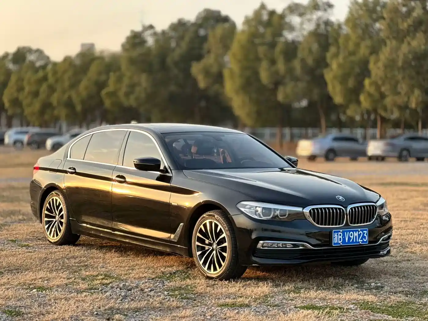 BMW 5 Series 2018 Facelift 530Li Leading Luxury Package фото 3