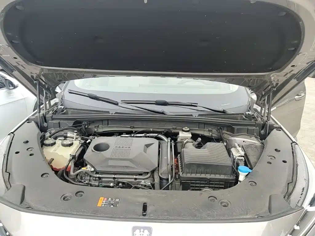 Roewe D5X DMH 2024 2024 135 Flagship Edition