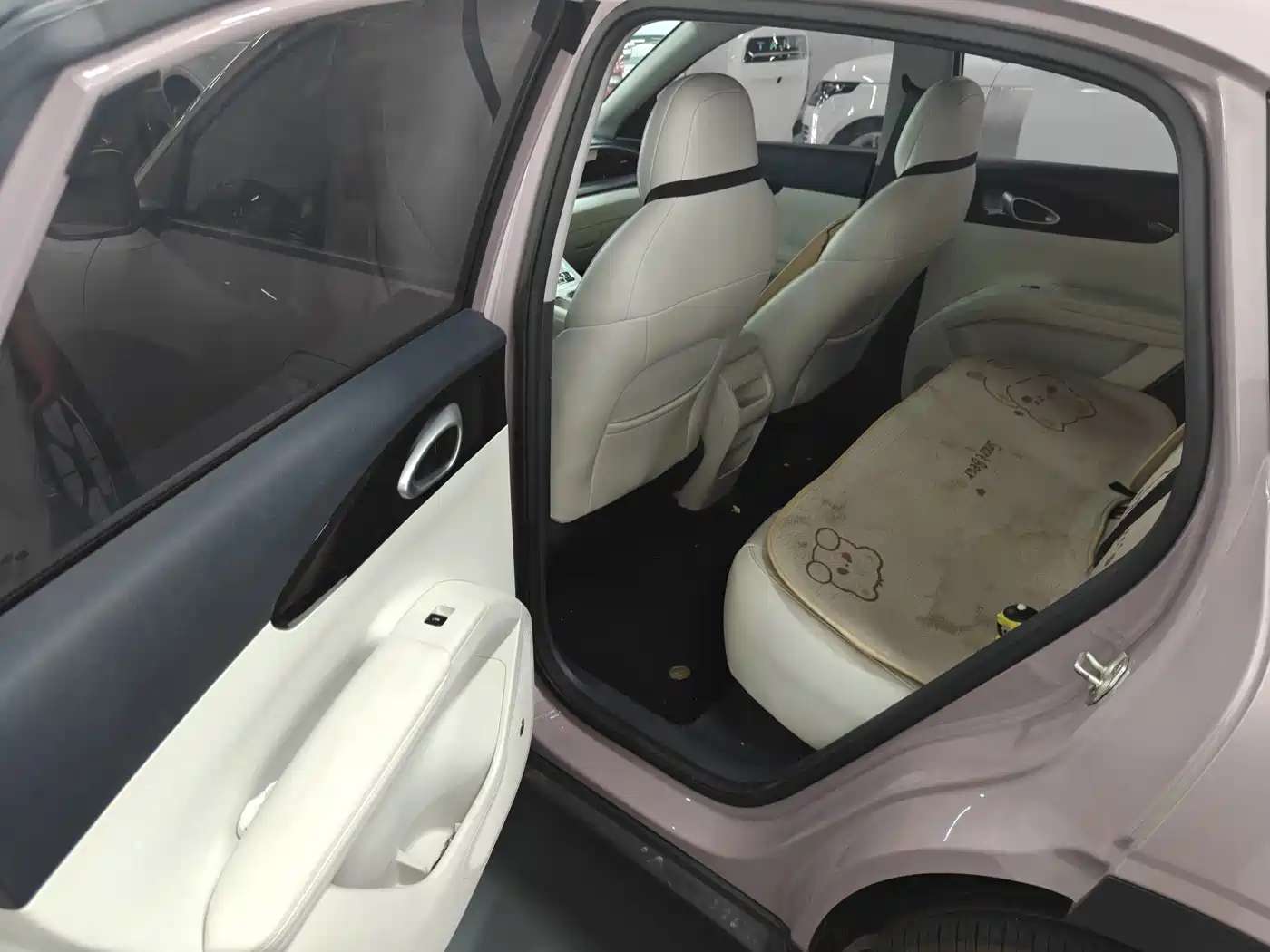 Geely Galaxy Starry Wish 2025 2025 310km Youth Edition