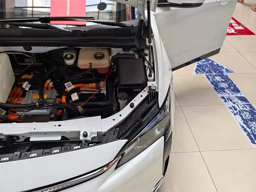 BUICK SLIGHTLY BLUE 6