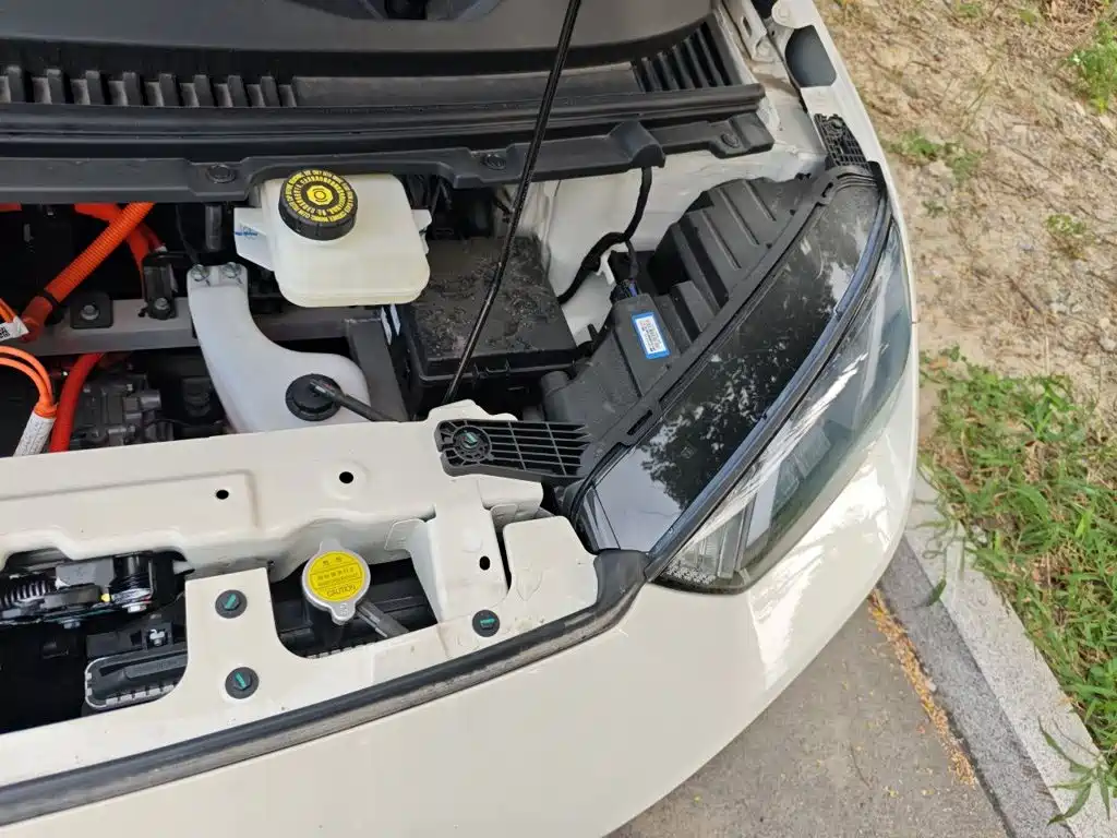 BYD Seagull 2026 2025 Smart Drive Edition 305km Vitality Version