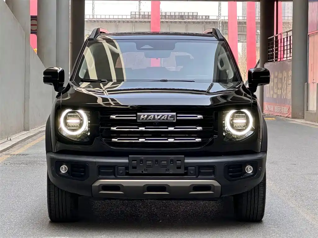 HAVAL BIG DOG