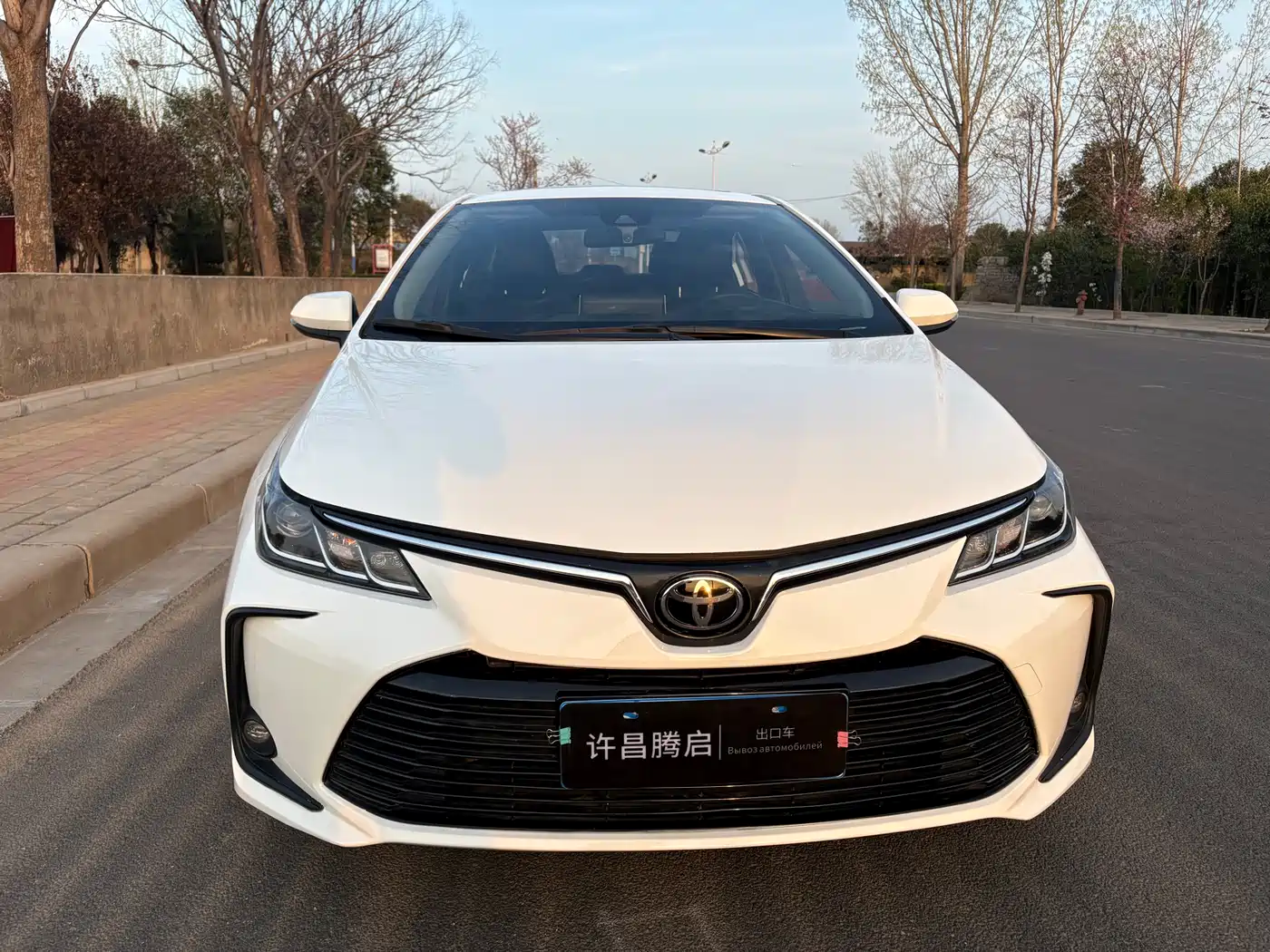 Toyota Corolla 2021 1.2T S-CVT Elite PLUS Edition фото 2