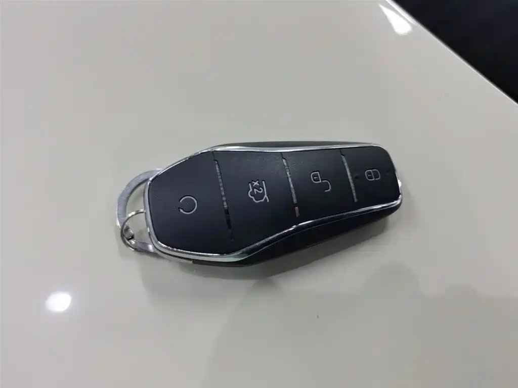 BYD Yuan PLUS 2025 Smart Drive 510KM Surpass Edition фото 9