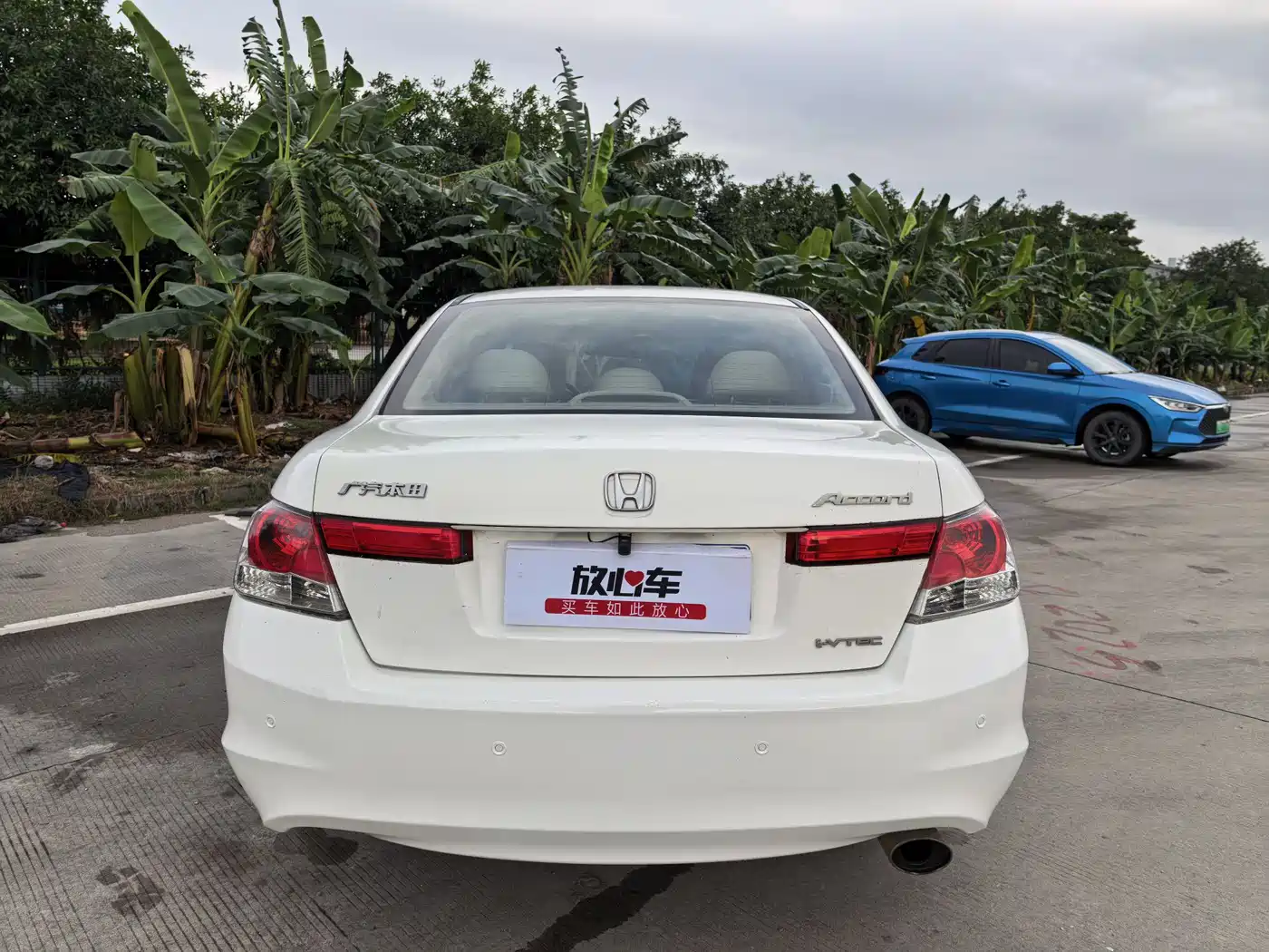 Honda Accord 2008 2008 2.0L EX