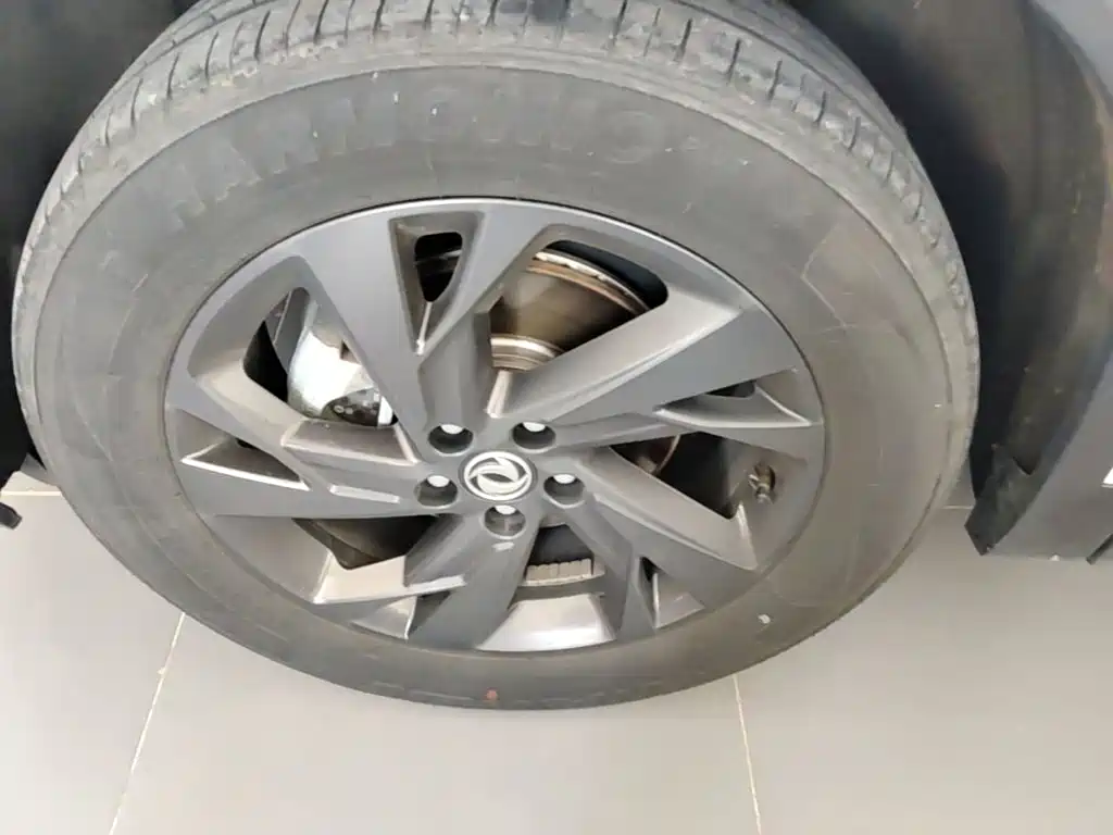 Dongfeng Aeolus SKY EV01 2024 2024 530km PRO