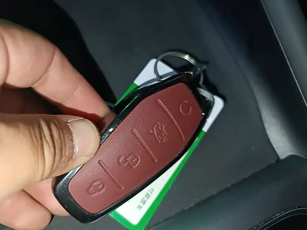 BYD Yuan PLUS 2025 2025 Model Intelligent Driving Edition 510KM Leading Version