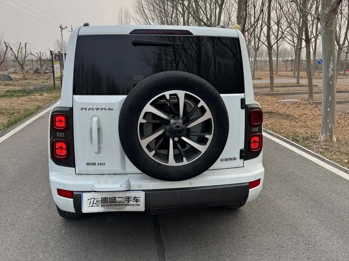 HAVAL H9