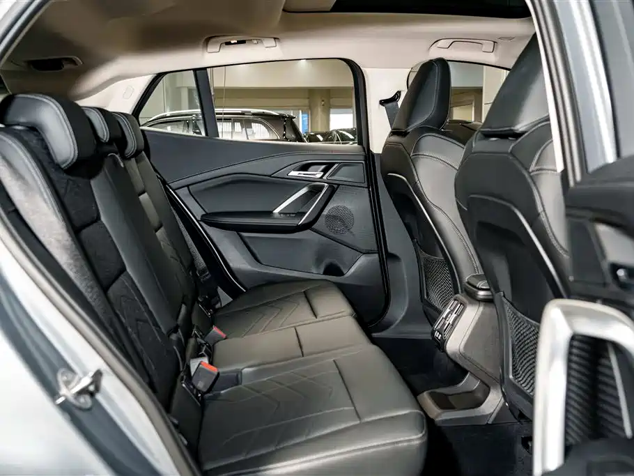 BMW X2 (Import) 2024 sDrive25i M Sport Package фото 21