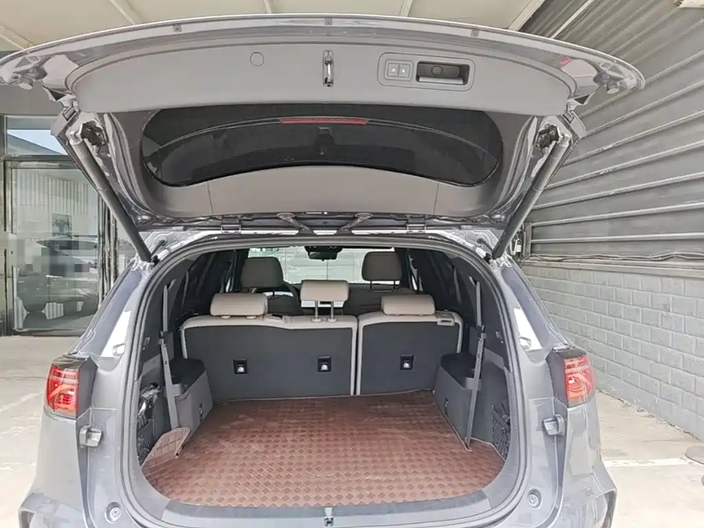 BYD Tang New Energy 2025 2025 Smart Driving Edition DM-i 115KM Premium
