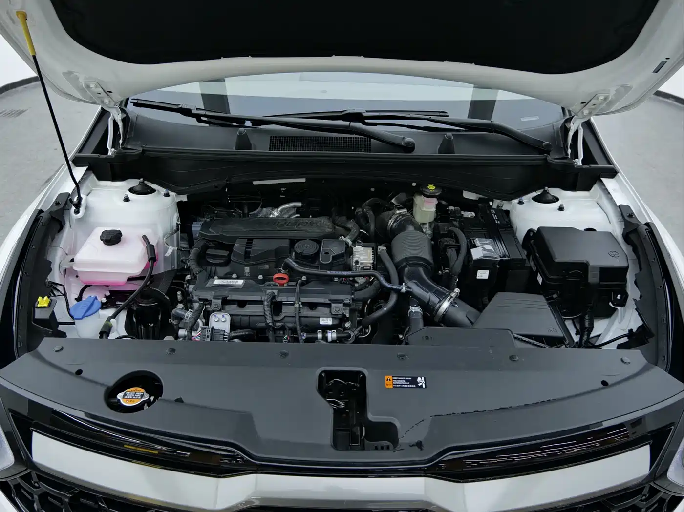 KIA LION PLATINUM EXPANDS THE WORLD