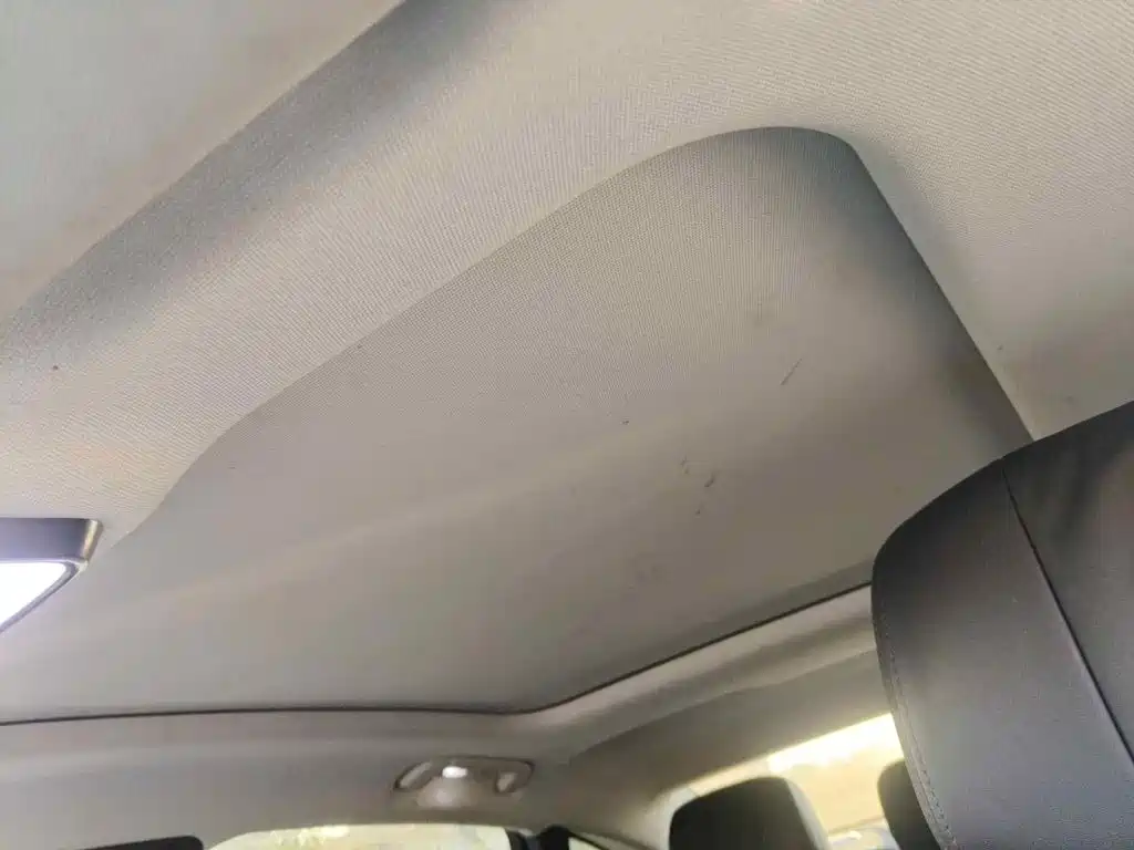 Hongqi H9 2020 2020 2.0T Smart Connection Qi Chang Edition