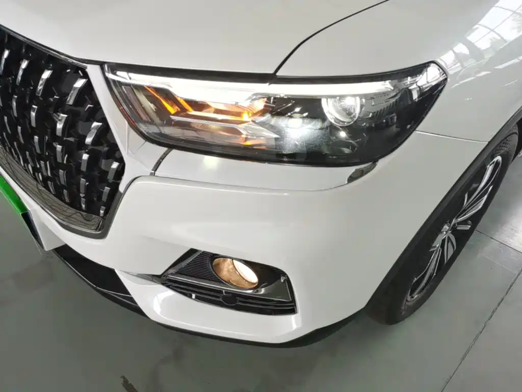 Haval H6 2026 2023 National Trend Edition 1.5T Automatic Champion